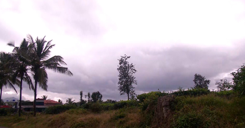 rain-short rain-short