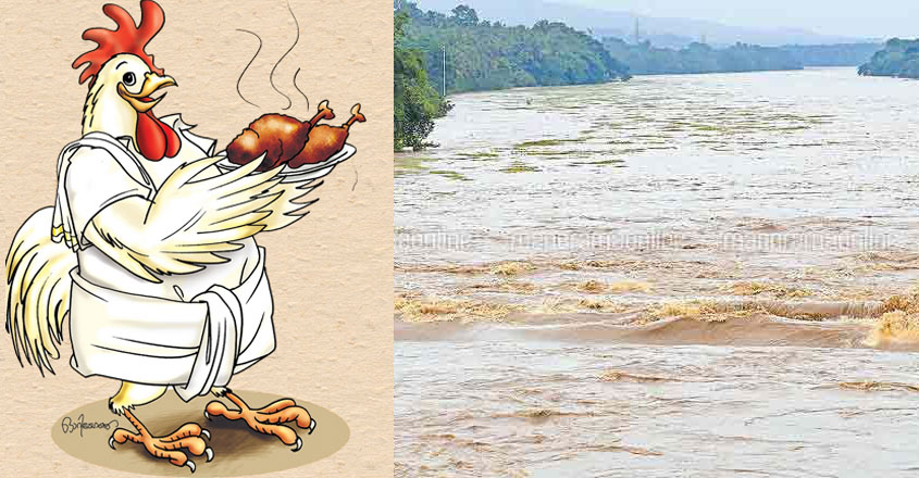 chicken-puzha chicken-puzha