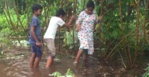 പെരുമഴത്ത് ഒലിച്ചുപോയത് മൂന്ന് കുട്ടികർഷകരുടെ കൃഷിയിടവും; കണ്ണീർ പെരുമഴത്ത് ഒലിച്ചുപോയത് മൂന്ന് കുട്ടികർഷകരുടെ കൃഷിയിടവും; കണ്ണീർ