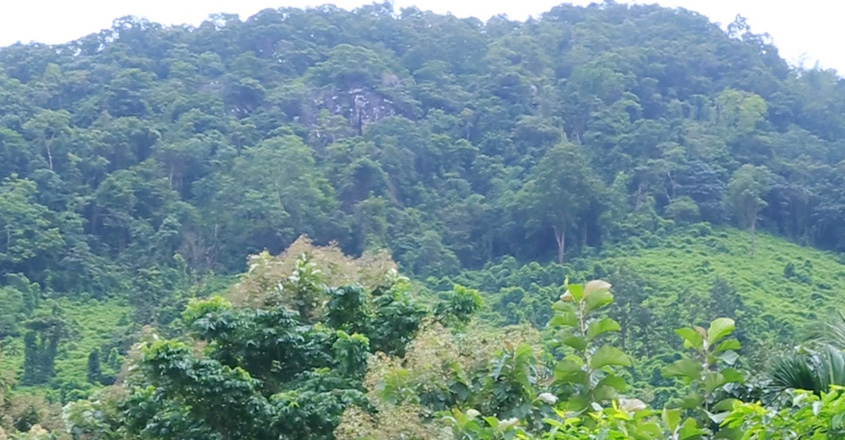 quarry quarry