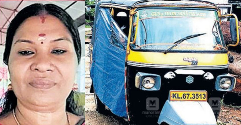 auto-driver auto-driver
