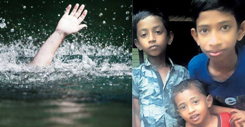 Went down to the pool to wash the mangoes;  3 siblings drowned |  Accident |  Kerala News |  News from Kerala