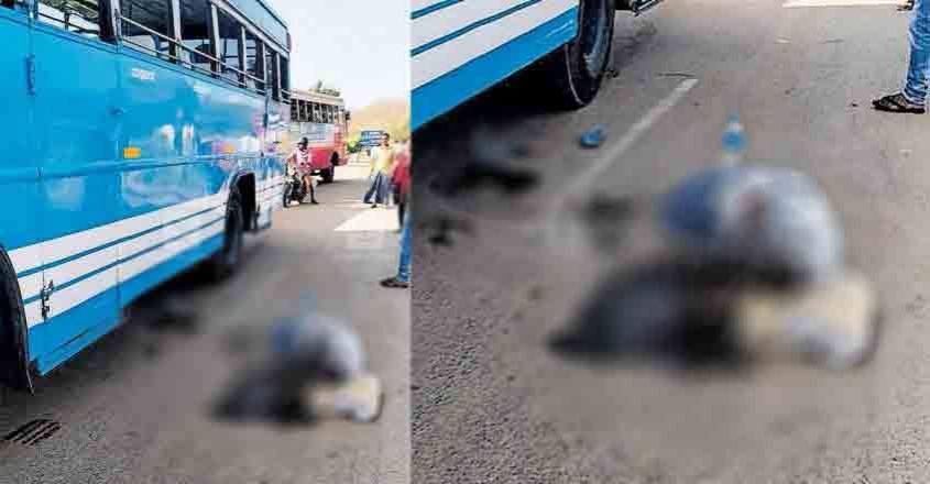 walayar-accident walayar-accident