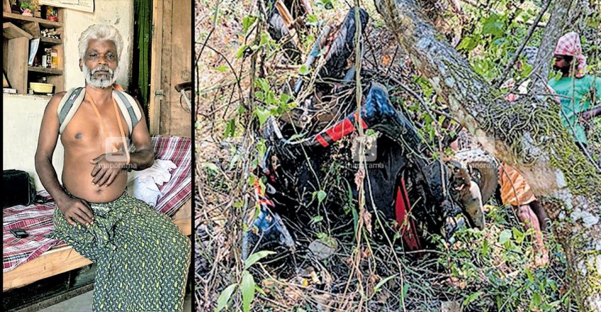 idukki-wild-boar-attack-disabled-man-serious-injury.jpg.image.845.440 idukki-wild-boar-attack-disabled-man-serious-injury.jpg.image.845.440