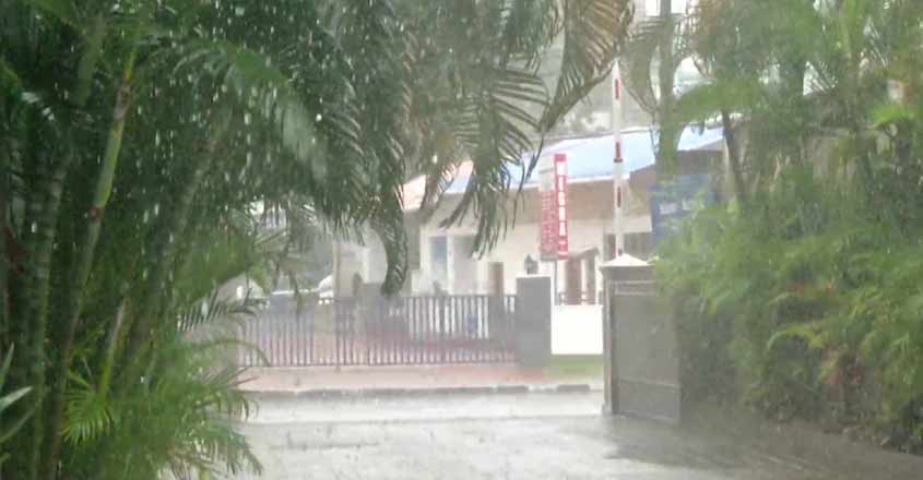 rainwb rainwb