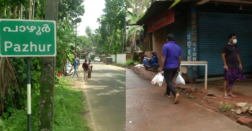 pazhoor-nipah pazhoor-nipah