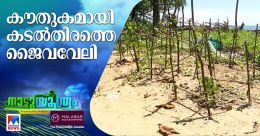 കടൽതീരത്ത് ജൈവവേലി; മാതൃകയായി ശ്രീനാരായണപുരം പഞ്ചായത്ത് കടൽതീരത്ത് ജൈവവേലി; മാതൃകയായി ശ്രീനാരായണപുരം പഞ്ചായത്ത്