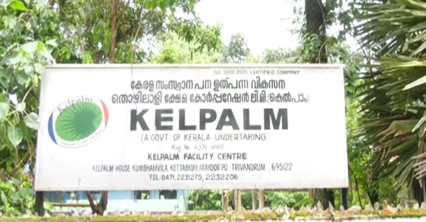 kelpalm