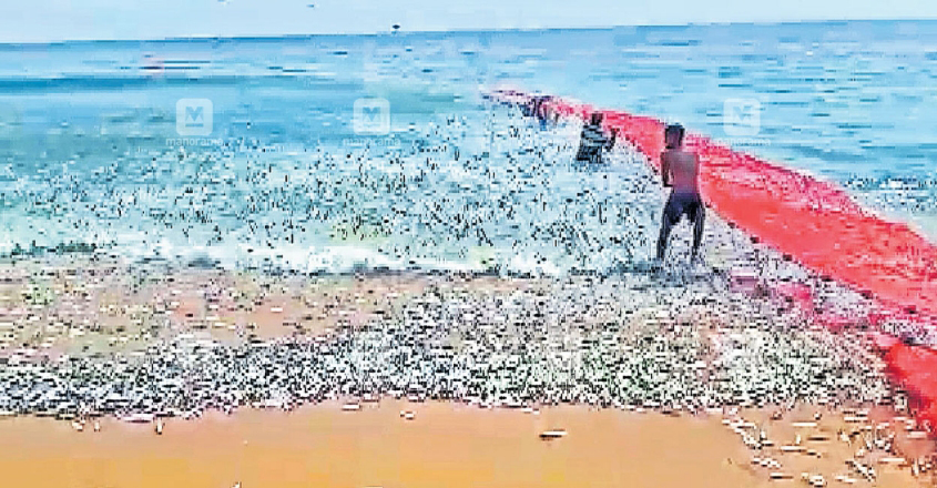 purathur-fish