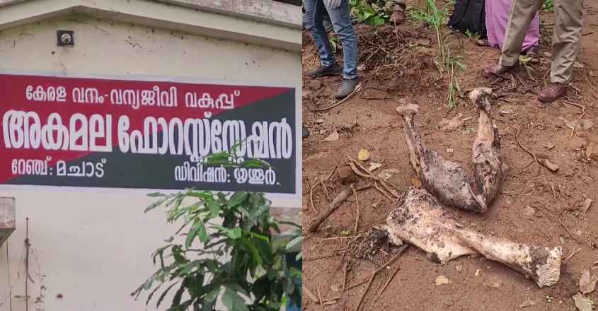 forestdepartmentthrissur