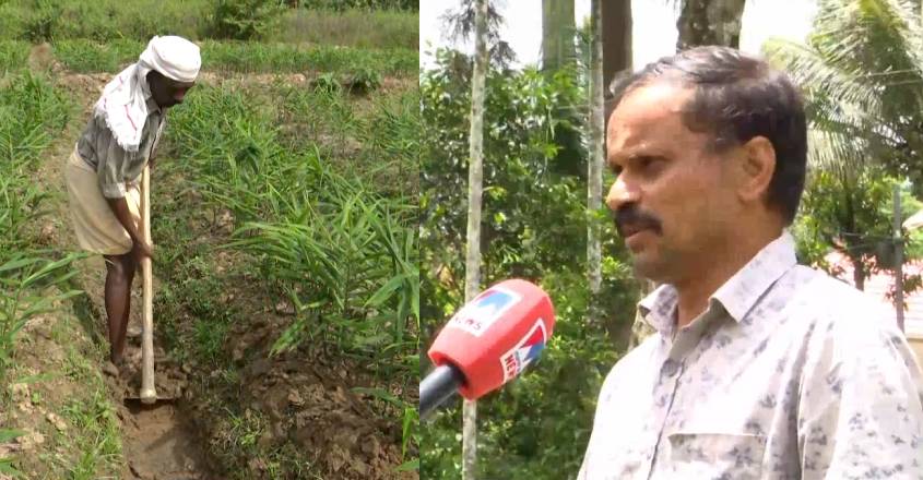 MuraleedharanGingerFarmer2407