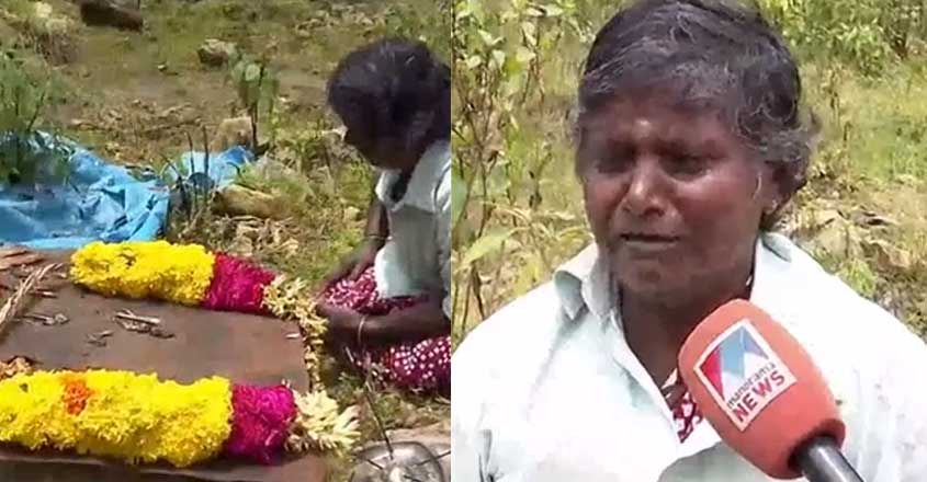 pettimudi