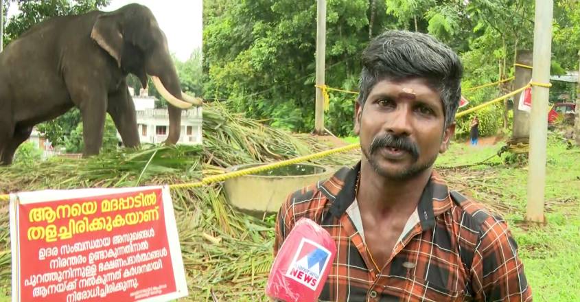 MalayalappuzhaRajanMahout