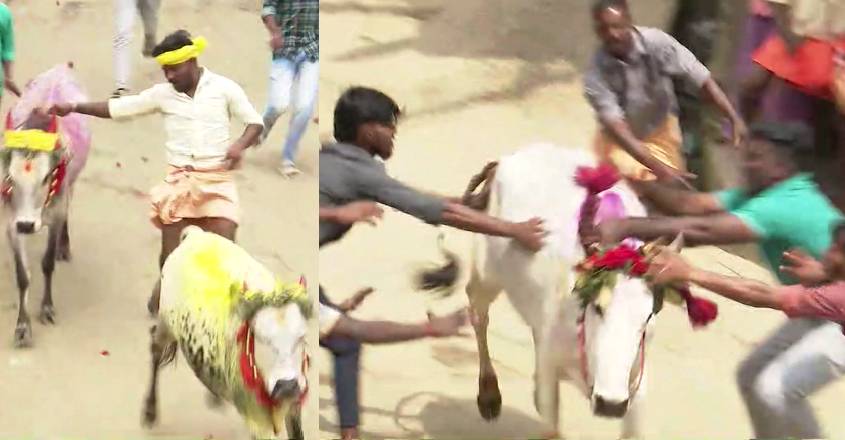manju-virattu