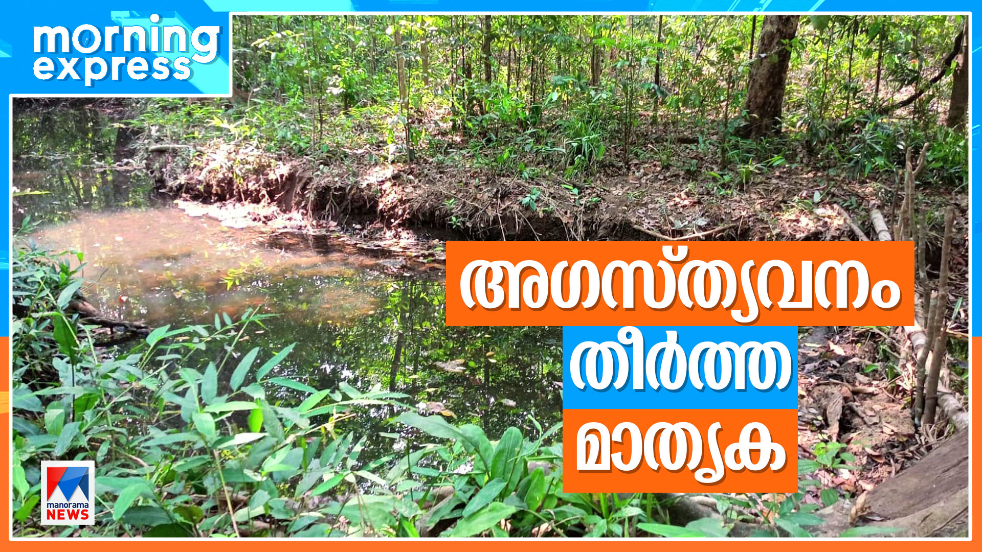 Morning-Express-HD-ForestDams Morning-Express-HD-ForestDams