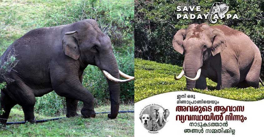 save-padayappa save-padayappa