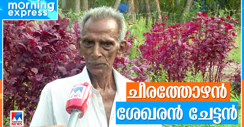 cheera-shekaran