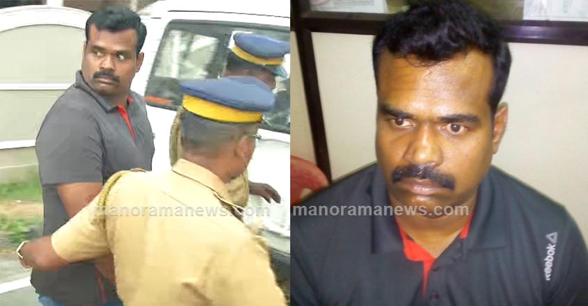 blade-raja-side-story