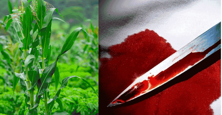 murder-bihar murder-bihar