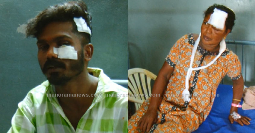pooram-attak-mlpm pooram-attak-mlpm