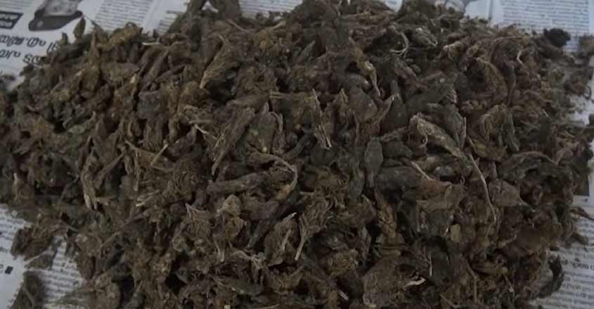 ganja-marayoor ganja-marayoor