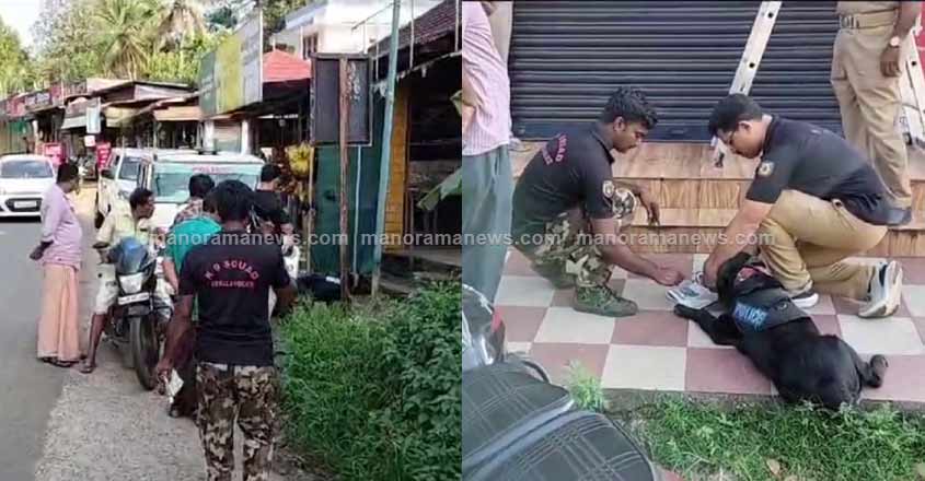 kottayam-pampady-theft-3