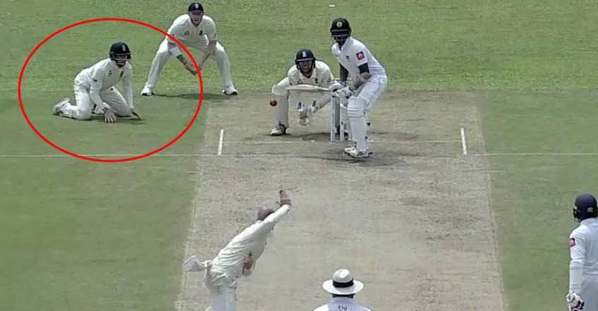 fielding fielding