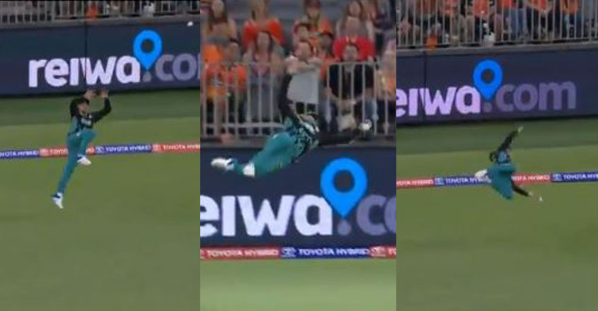 mccllum-catch-attempt mccllum-catch-attempt