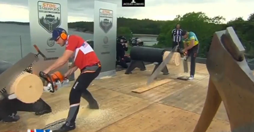 timber-sports timber-sports