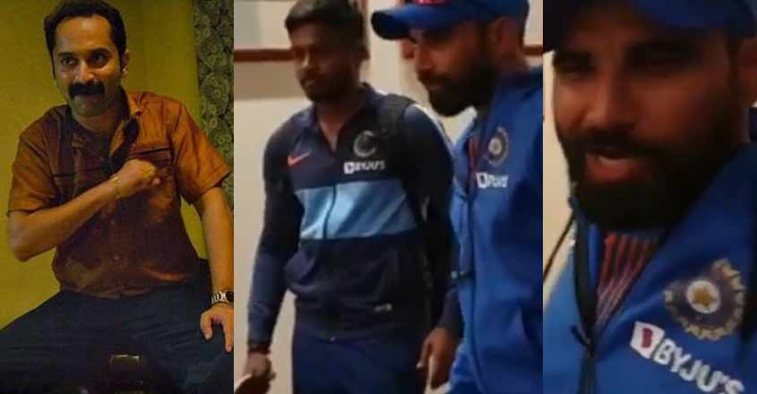 shami-hero-video shami-hero-video