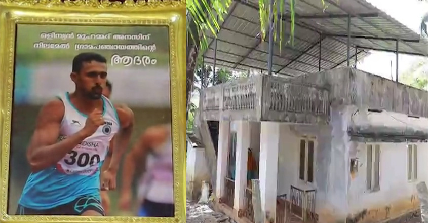 anas-home anas-home