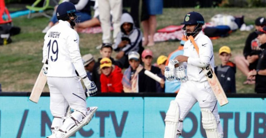 cricket cricket