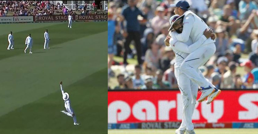 jadeja-01 jadeja-01