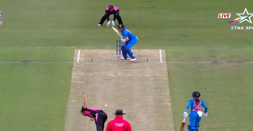 cricket-web cricket-web