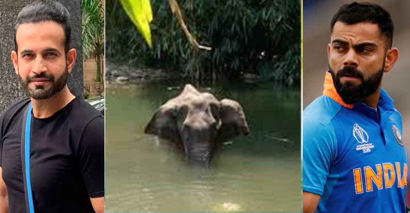 irfan-pathan-kohlio irfan-pathan-kohlio