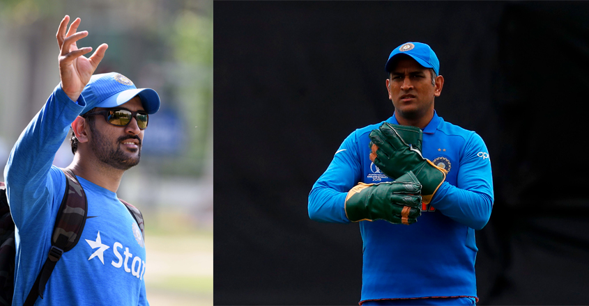 msd-16 msd-16