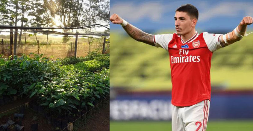 bellerin-09 bellerin-09