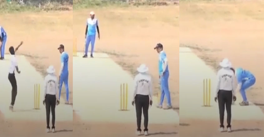 cricket-death cricket-death