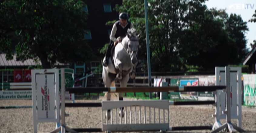 equestrianmirza equestrianmirza