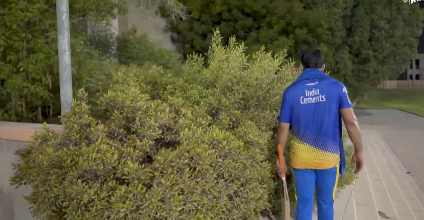 dhoni dhoni