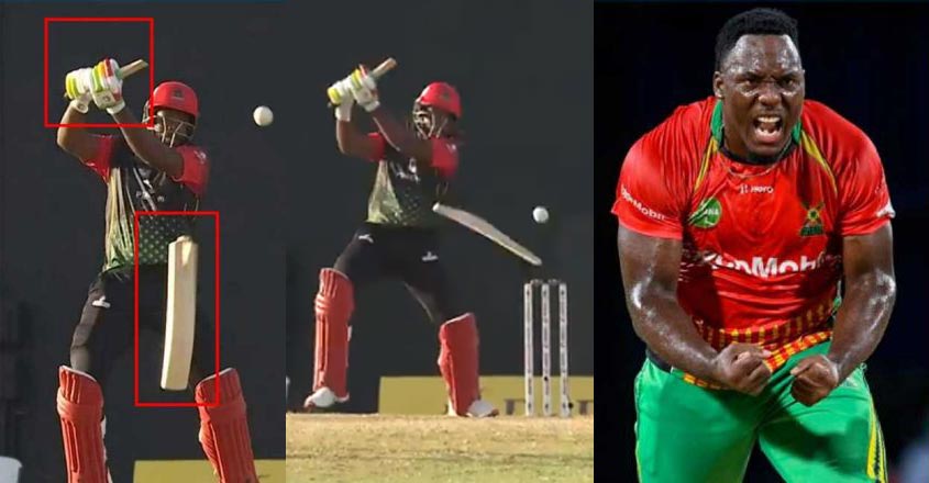 gayle-bat gayle-bat