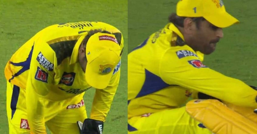 Dhoni’s diving mistake, Chennai captain suffers from pain – Video |  Sports News