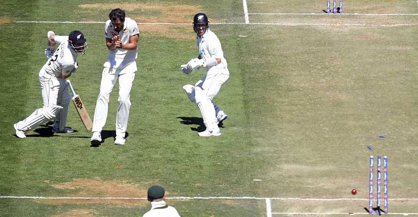 kane-willimson-run-out