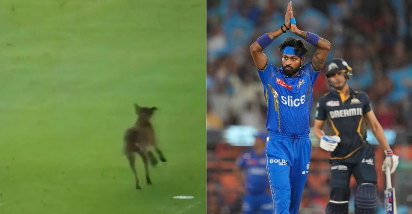 hardik-pandya-match-dog
