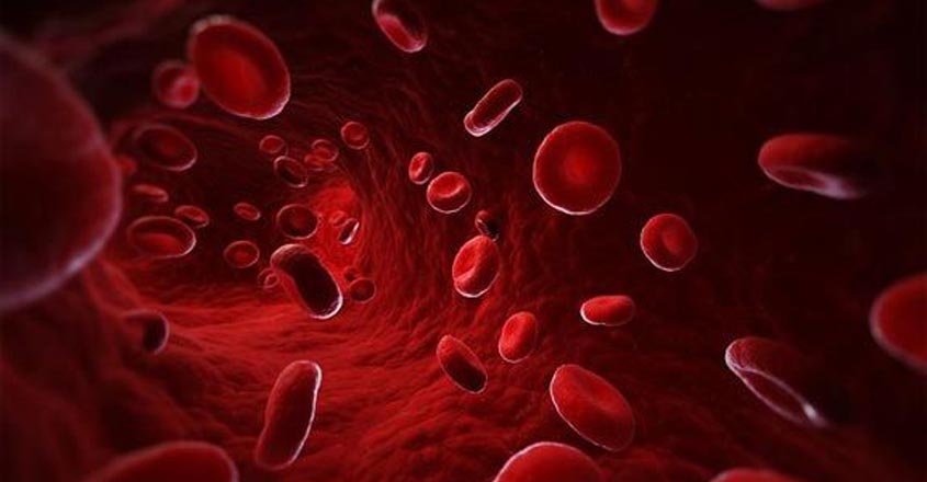 blood.jpg.image blood.jpg.image