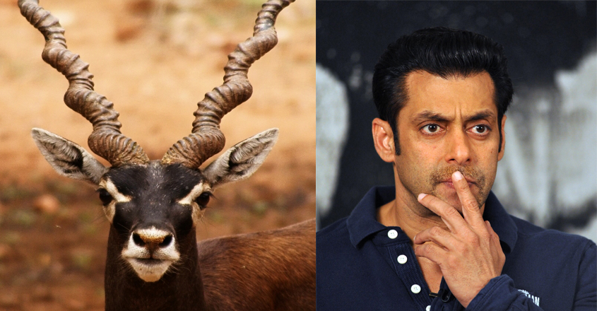 salman-black-buck