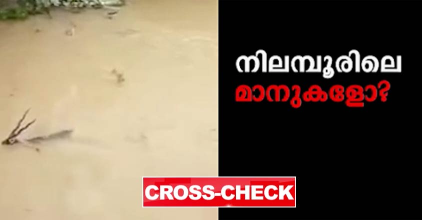 cross-check-deer-nt cross-check-deer-nt