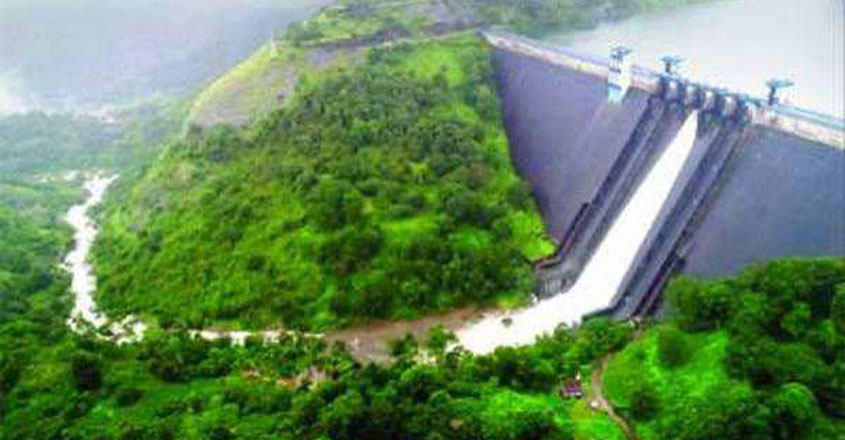 dam-2 dam-2