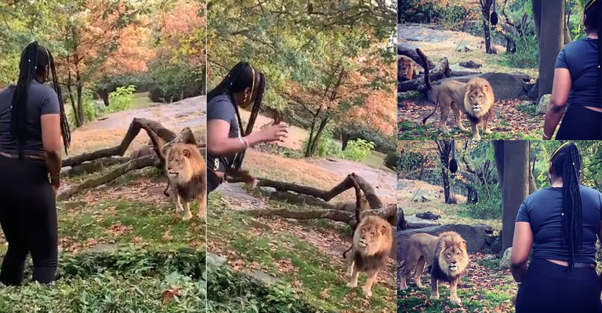 lion-lady-dance lion-lady-dance