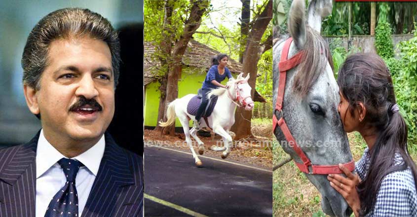 anand-mahindra-krishna anand-mahindra-krishna